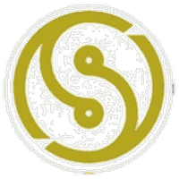 Logo da Stein Construções